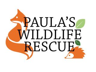 paulas-wildlife-rescue