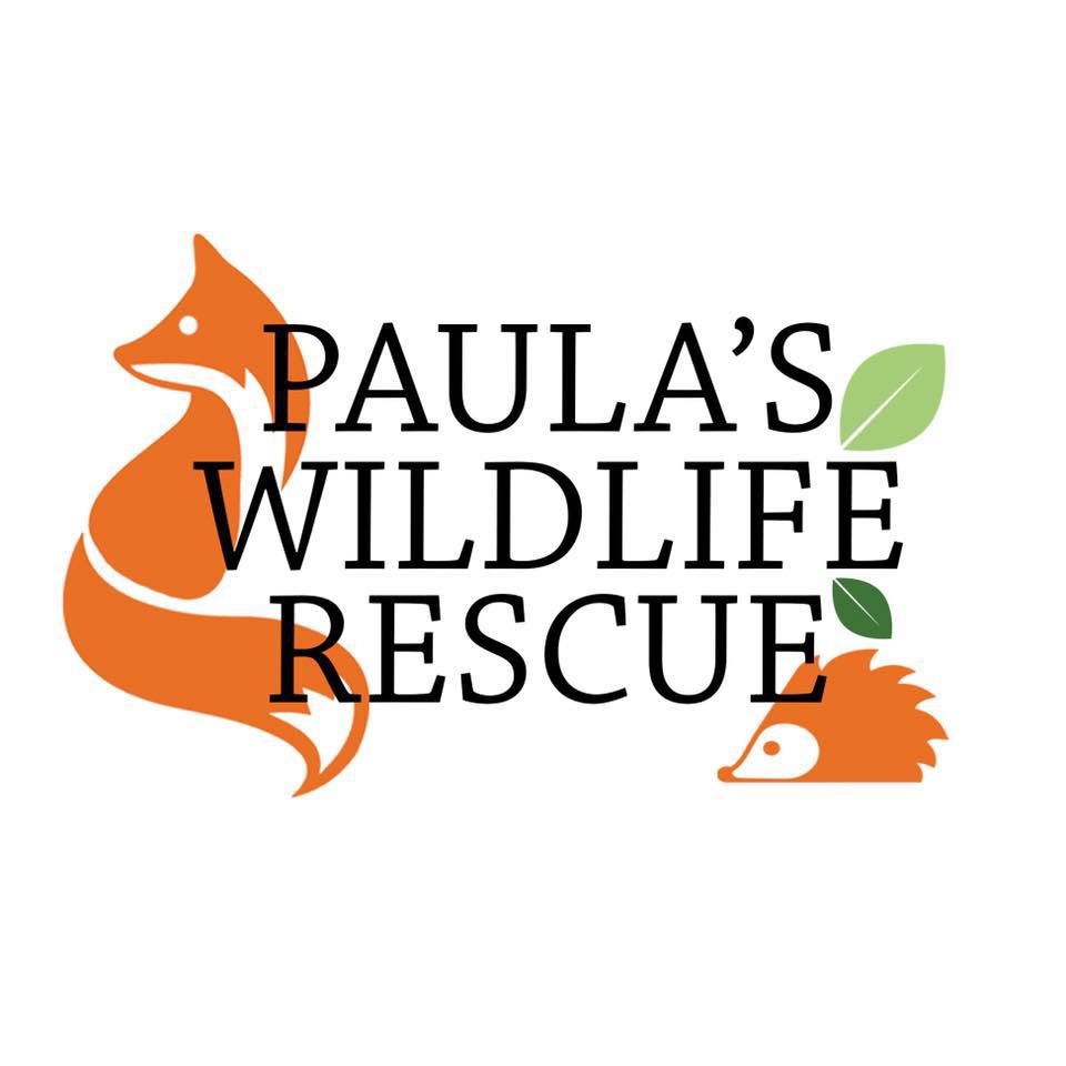 Paula’s Wildlife Rescue