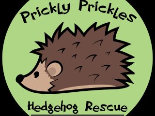 prickly-prickles