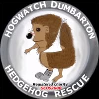 dunbarton-hedgehog-watch-logo