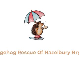 hazelbury-bryan-logo