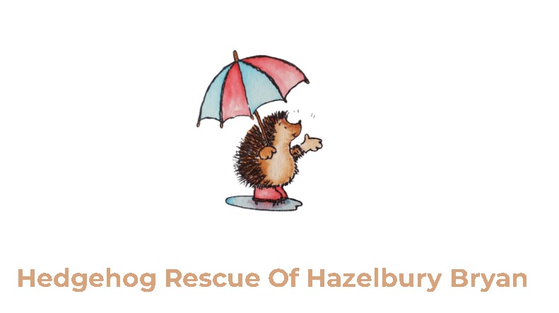 Hedgehog Rescue of Hazelbury Bryan